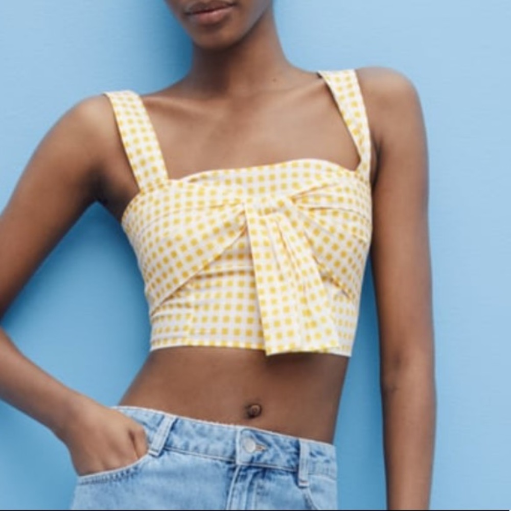 ZARA Cropped Gingham Top